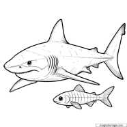 Realistic Shark And Fish Coloring Page