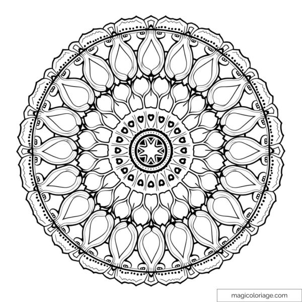 Detailed patterned floral mandala for relaxing coloring.