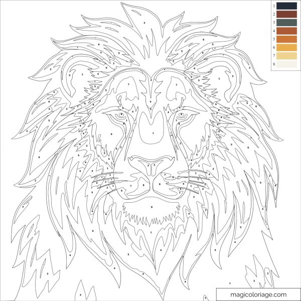 Lion drawing to color by numbers