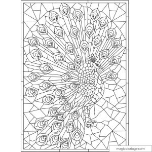 Dessin de paon avec plumage détaillé